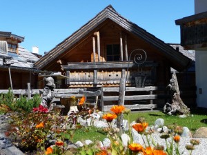 Platzhalter-Bild