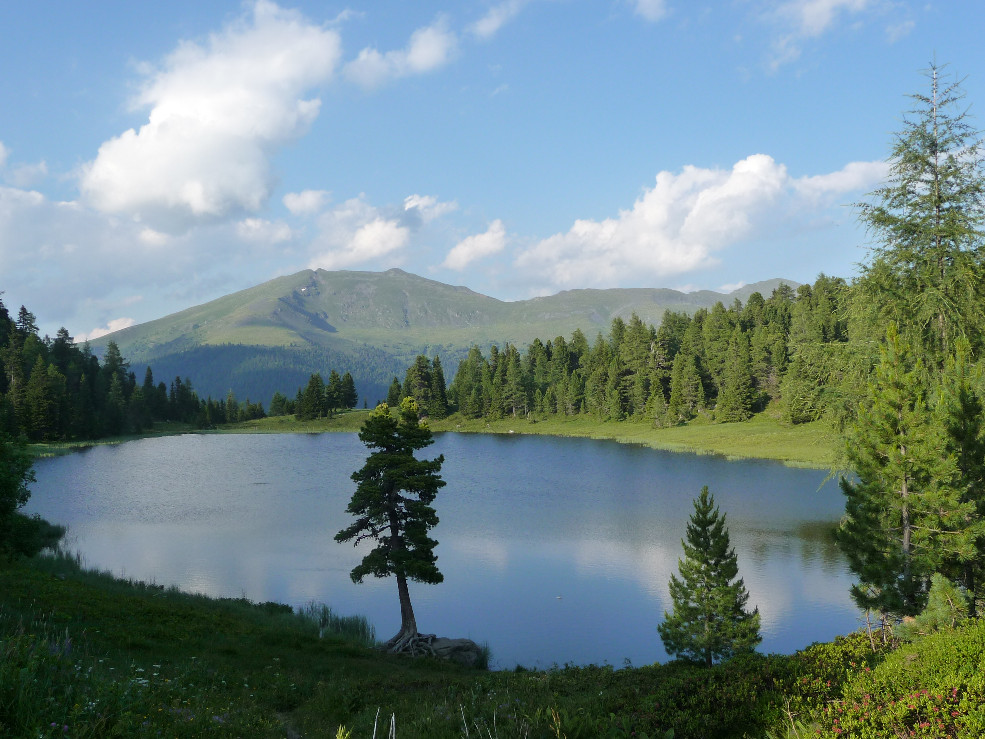 Am Schwarzsee