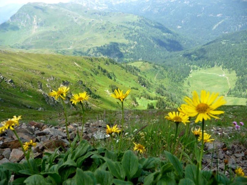 Nockberge