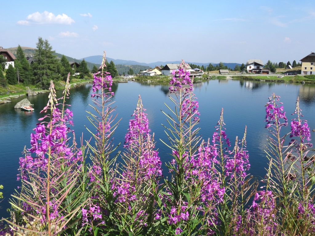 am Falkertsee